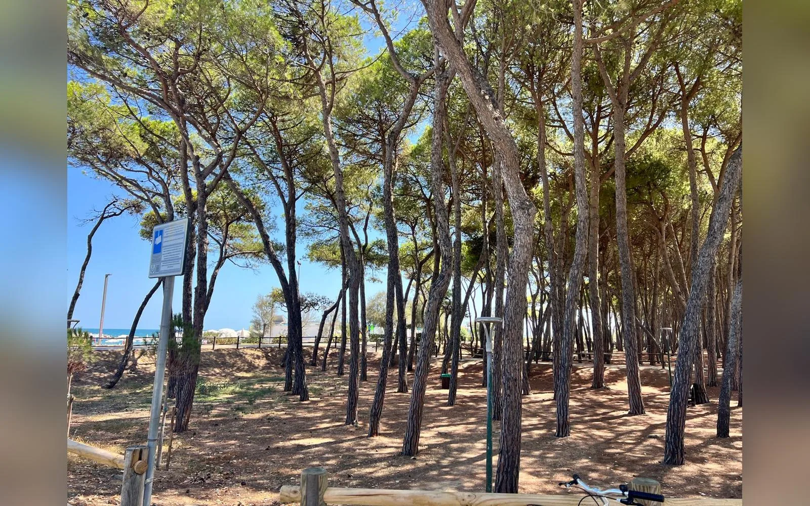 Josephine's Apartment, Alba Adriatica (Abruzzo) — galleria foto 12